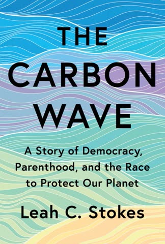 Cover of The Carbon Wave