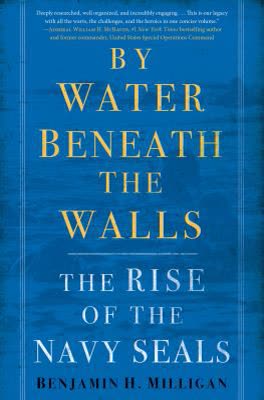 Cover of Water Beneath the Walls