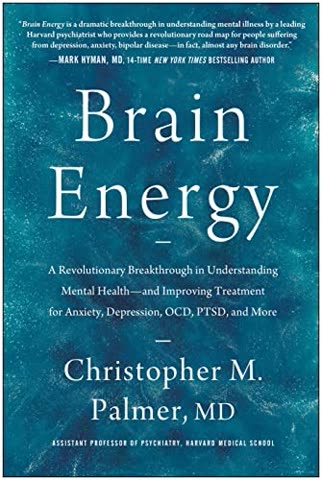 Cover of Brain Energy by Chris Palmer