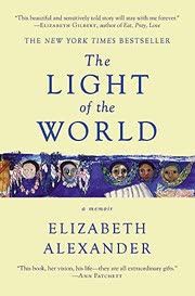 Cover of The Light of the World