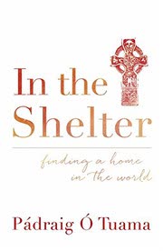 Cover of In the Shelter