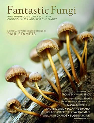 Cover of Fantastic Fungi by Juliana Furchi