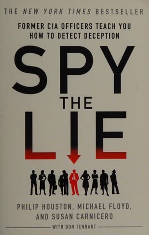 Cover of The Lie Detectives: In Search of a Playbook for Winning Elections in the Disinformation Age by Sasha Eisenberg
