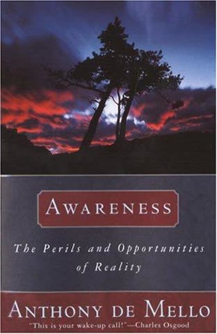 Cover of Awareness: The Perils and Promises of Reality by Anthony de Mello