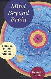 Cover of Mind Beyond Brain by David Presti