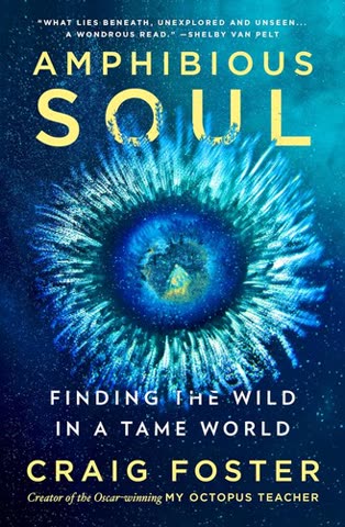 Cover of Amphibious Soul: Finding the Wild in a Tame World by Craig Foster