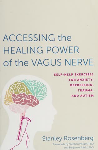 Cover of The Great Nerve, The New Science of the Vegas Nerve and How to Harness Its Healing Reflexes by Kevin J Tracy
