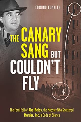 Cover of The Canary Code