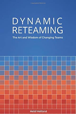 Cover of Dynamic Reteeming by Heidi Helfand