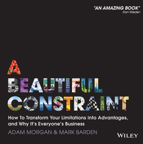 Cover of A Beautiful Constraint