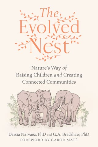 Cover of Evolved Woman: The Human Significance of Touch by Darcia Narvaez