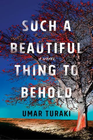 Cover of A Beautiful Thing