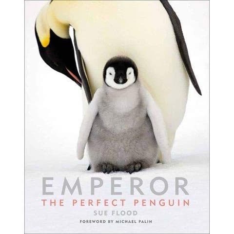 Cover of Emperor, The Perfect Penguin by Sue Flood