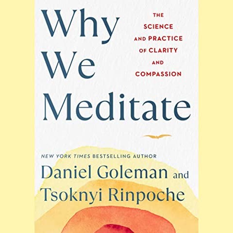 Cover of Why We Meditate: The Science and Practice of Clarity and Compassion