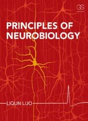 Cover of Principles of Neurobiology