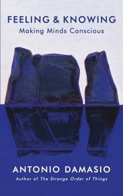 Cover of Feeling and Knowing: Making Minds Conscious