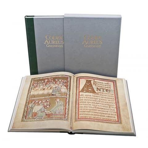 Cover of Codex Aureus