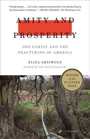 Cover of Amity and Prosperity