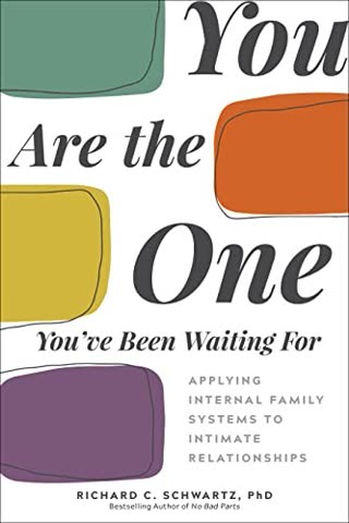 Cover of You're the One You've Been Waiting For by Richard Schwartz